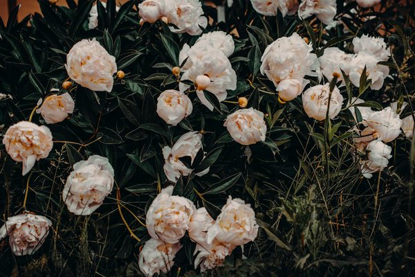 Déménagement économique : comment réduire les coûts liés au transport ?