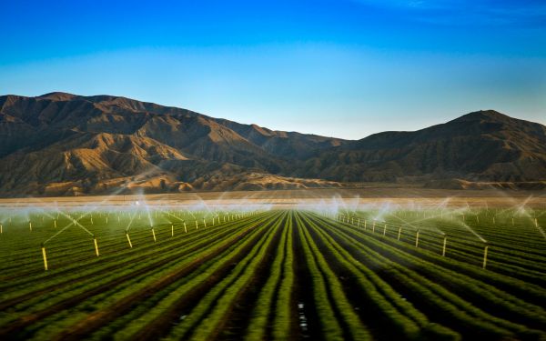 Top stratégies pour perfectionner l'irrigation commerciale